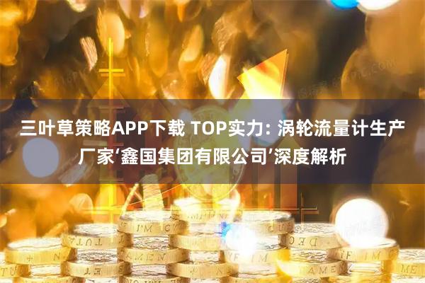 三叶草策略APP下载 TOP实力: 涡轮流量计生产厂家‘鑫国集团有限公司’深度解析