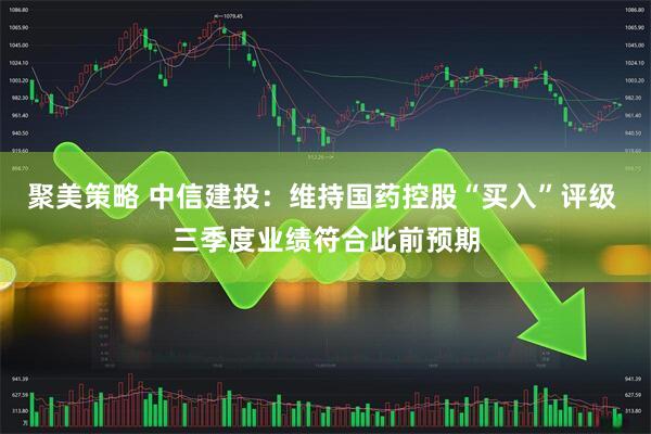 聚美策略 中信建投：维持国药控股“买入”评级 三季度业绩符合此前预期
