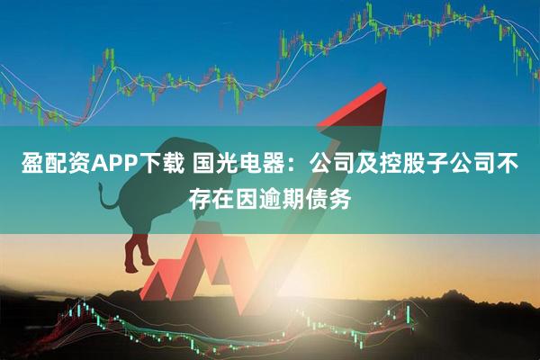 盈配资APP下载 国光电器：公司及控股子公司不存在因逾期债务