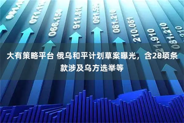 大有策略平台 俄乌和平计划草案曝光，含28项条款涉及乌方选举等